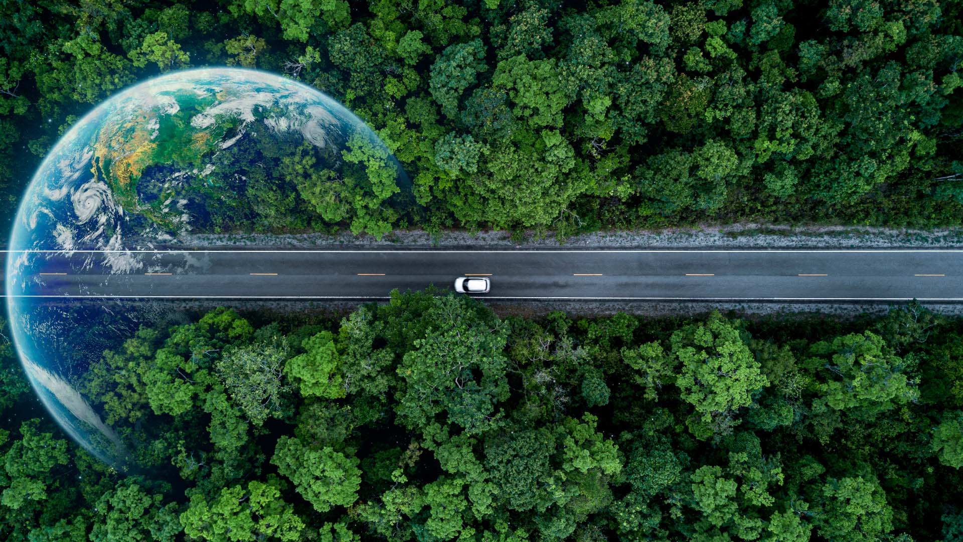 Bosque y carro